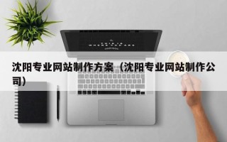成都沈阳专业网站制作方案（沈阳专业网站制作公司）